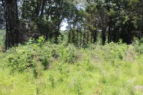 1654 E Hwy 14, Harriet, AR 72639 photo 26