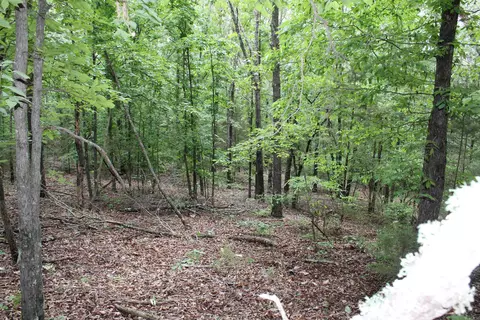 1654 E Hwy 14, Harriet, AR 72639 photo 34