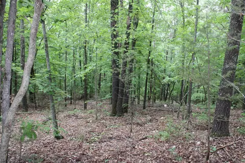 1654 E Hwy 14, Harriet, AR 72639 photo 33