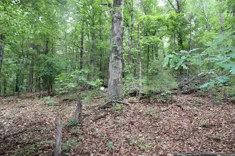 1654 E Hwy 14, Harriet, AR 72639 photo 31