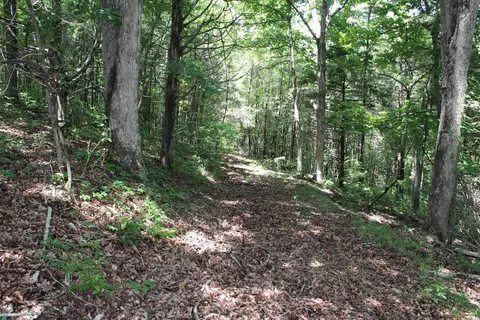 1654 E Hwy 14, Harriet, AR 72639 photo 29
