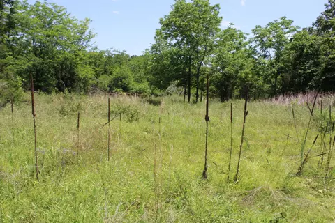 1654 E Hwy 14, Harriet, AR 72639 photo 25