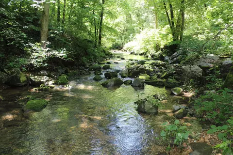 1654 E Hwy 14, Harriet, AR 72639 photo 17