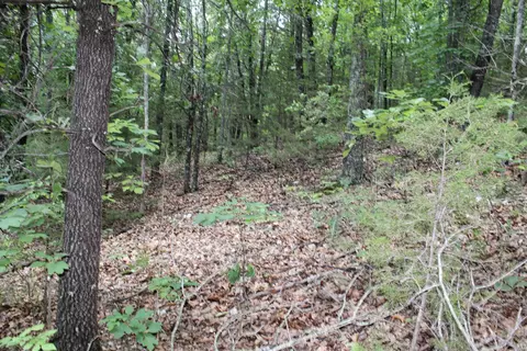 1654 E Hwy 14, Harriet, AR 72639 photo 20