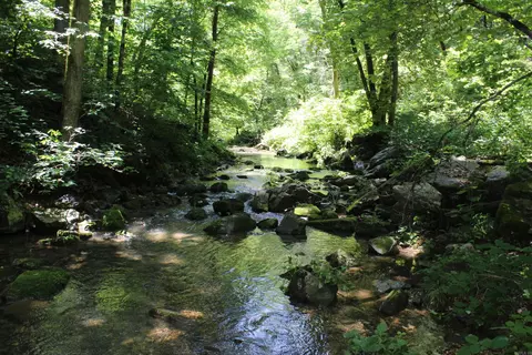 1654 E Hwy 14, Harriet, AR 72639 photo 3