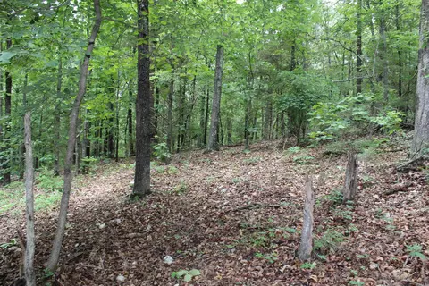 1654 E Hwy 14, Harriet, AR 72639 photo 32
