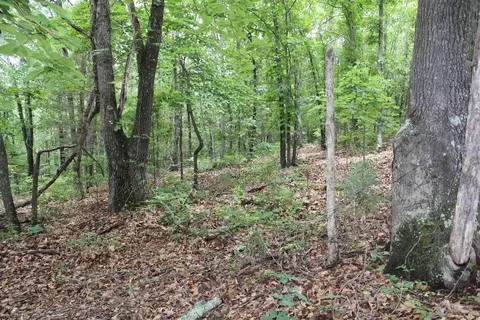 1654 E Hwy 14, Harriet, AR 72639 photo 35
