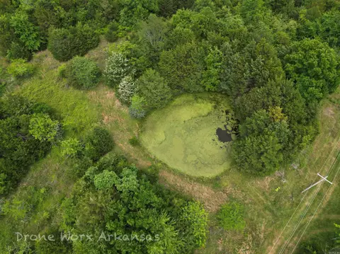 1654 E Hwy 14, Harriet, AR 72639 photo 38