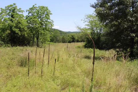 1654 E Hwy 14, Harriet, AR 72639 photo 27