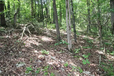 1654 E Hwy 14, Harriet, AR 72639 photo 28