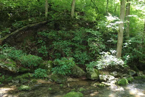 1654 E Hwy 14, Harriet, AR 72639 photo 16