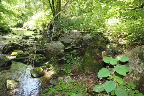 1654 E Hwy 14, Harriet, AR 72639 photo 4