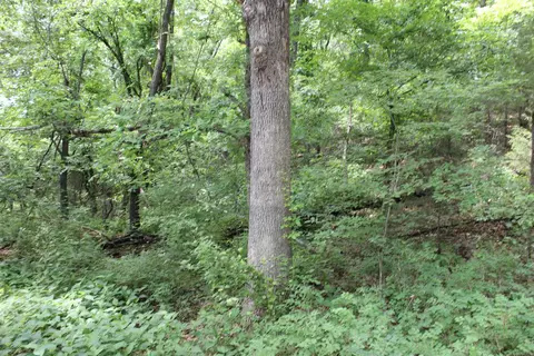 1654 E Hwy 14, Harriet, AR 72639 photo 18