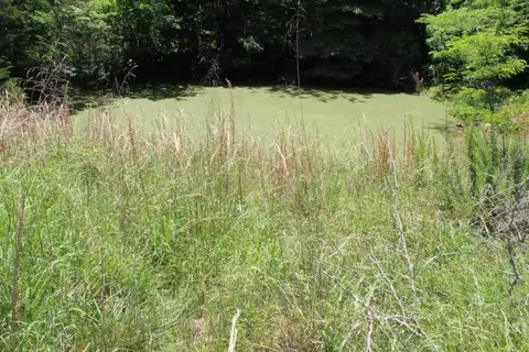 1654 E Hwy 14, Harriet, AR 72639 photo 13