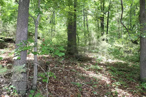 1654 E Hwy 14, Harriet, AR 72639 photo 19