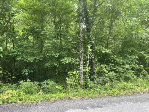 lot39 Ryan Dr, Heber Springs, AR 72543