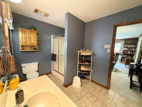 Bath - 60 Wendy Cv, Conway, AR 72032 photo 4 of 4