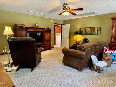Living - 60 Wendy Cv, Conway, AR 72032 photo 4 of 4