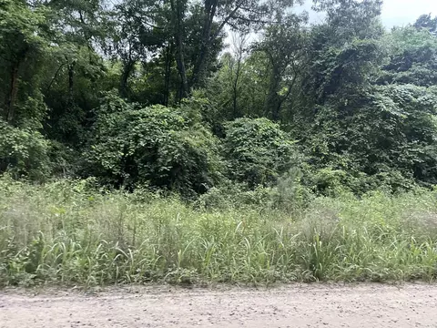 000 Mt Olive, Plumerville, AR 72127 photo 7