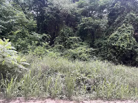 000 Mt Olive, Plumerville, AR 72127 photo 9