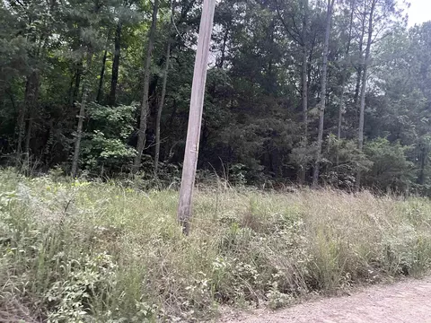 000 Mt Olive, Plumerville, AR 72127 photo 12