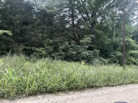 000 Mt Olive, Plumerville, AR 72127 photo 5