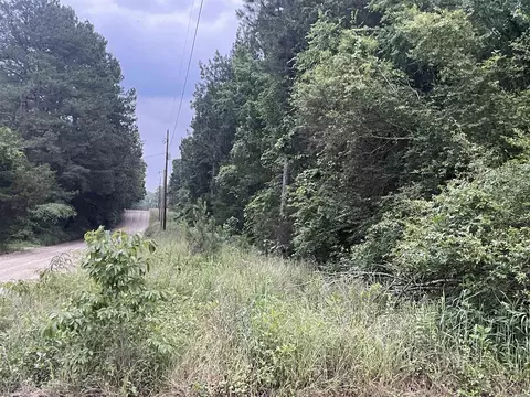 000 Mt Olive, Plumerville, AR 72127 photo 16