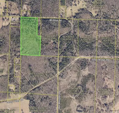 000 Mt Olive, Plumerville, AR 72127 photo 2