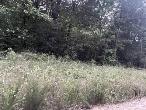 000 Mt Olive, Plumerville, AR 72127 photo 11