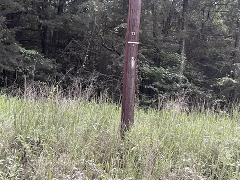 000 Mt Olive, Plumerville, AR 72127 photo 13