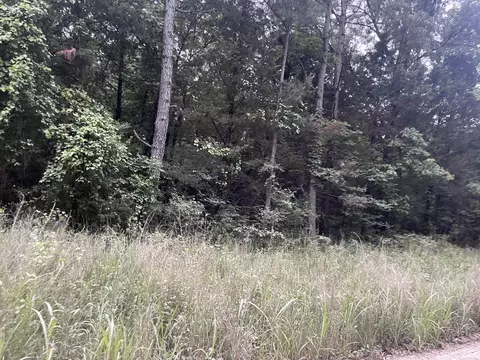 000 Mt Olive, Plumerville, AR 72127 photo 10