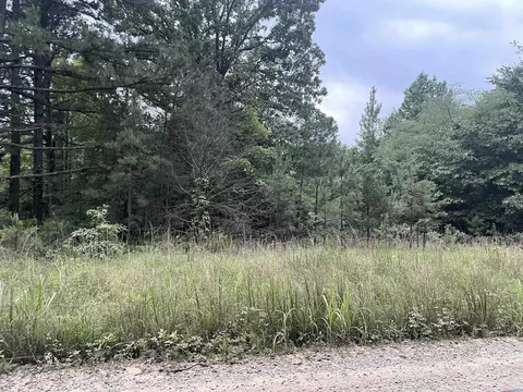 000 Mt Olive, Plumerville, AR 72127 photo 3