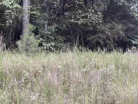 000 Mt Olive, Plumerville, AR 72127 photo 15