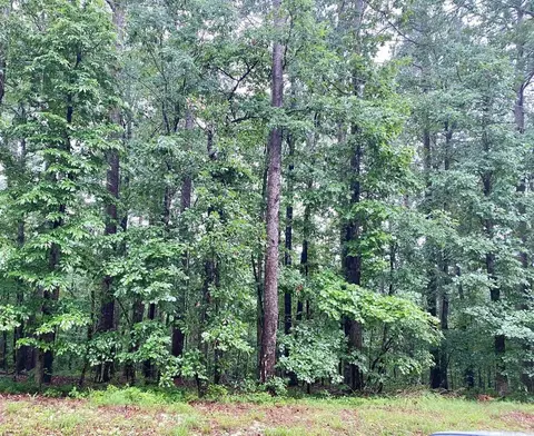 61 Mazarron Dr, Hot Springs Village, AR 71909