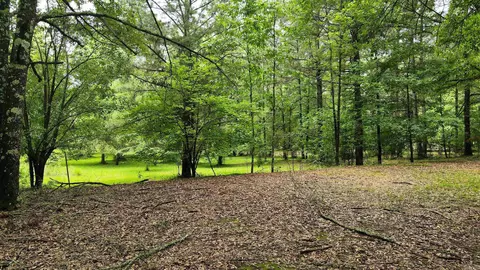 107 Boulder Rd, Royal, AR 71968 photo 11