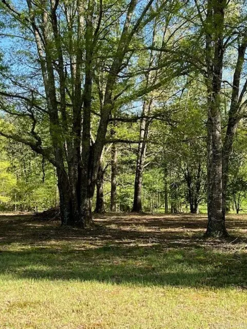 107 Boulder Rd, Royal, AR 71968 photo 26