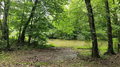 107 Boulder Rd, Royal, AR 71968 photo 14