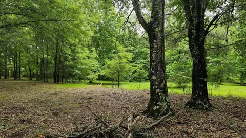 107 Boulder Rd, Royal, AR 71968 photo 10