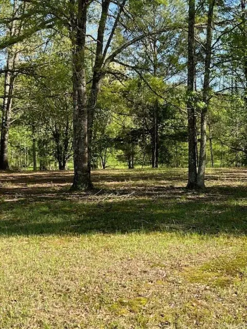 107 Boulder Rd, Royal, AR 71968 photo 24