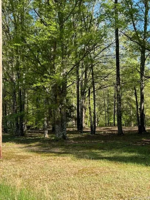 107 Boulder Rd, Royal, AR 71968 photo 25