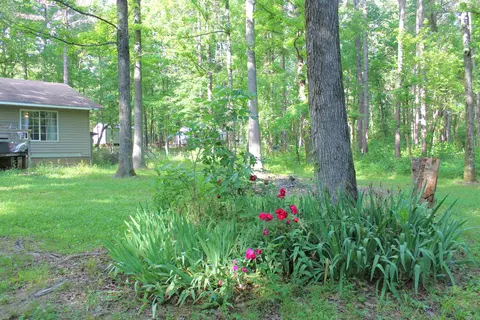 386 Old Springfield Rd, Quitman, AR 72131 photo 12