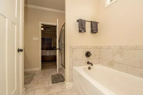 Bath - 183 Hudson Branch Dr, Austin, AR 72007 photo 2 of 5