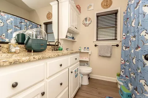 Bath - 183 Hudson Branch Dr, Austin, AR 72007 photo 4 of 5