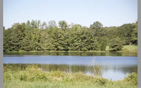 5960 Brush Creek Loop, Conway, AR 72034 photo 2