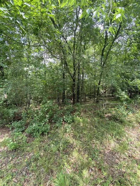 000 Fastota Ln, Hot Springs Village, AR 71909