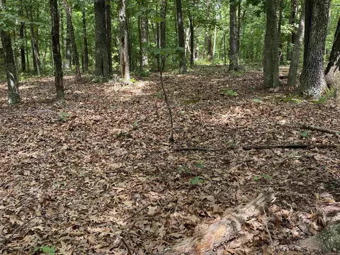 900 Mcfarr Trl, Wirth, AR 72554 photo 24