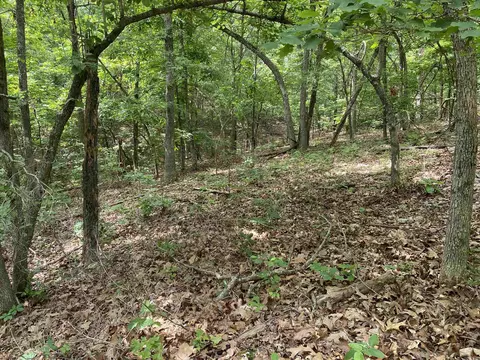900 Mcfarr Trl, Wirth, AR 72554 photo 18