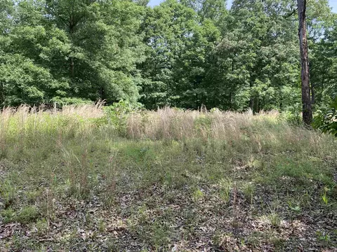 900 Mcfarr Trl, Wirth, AR 72554 photo 5