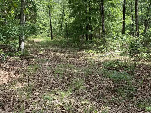 900 Mcfarr Trl, Wirth, AR 72554 photo 10
