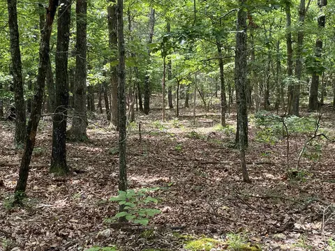 900 Mcfarr Trl, Wirth, AR 72554 photo 17